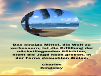 das einzige mittel, die welt zu verbessern