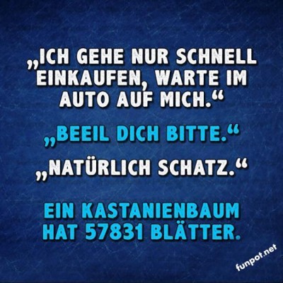 Schneller-Einkauf-mit-langer-Wartezeit.jpg von Julia1991