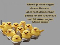 Eier oder Kken? Einkaufsberraschung!