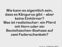 Kngurus vs. Einhrner: Ein tierisches Dilemma!