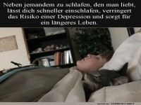 Kuschelakademie: Geliebtes Studium