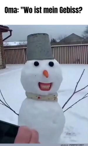 Schneemann-mit-Oma's-Gebiss.jpg auf www.funpot.net
