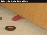 Schleichende �berraschung