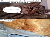 Katzenprinzessin: Im Schlaf vereint