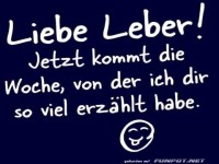 An meine Leber