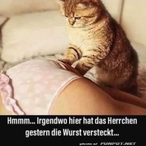 Wo-hat-das-Herrchen-die-Wurst-versteckt?.jpg von Gabriel