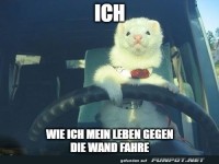 Wenn das Leben eine Vollbremsung braucht