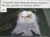 weiter