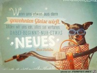 wenn uns etwas aus dem gewohnten Gleise