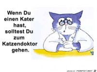 Katzendoktor