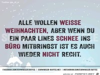 Alle wollen weisse Weihnachten