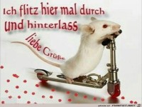 12803303 956586984422745 5004589938862448165 n