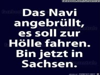 Das Navi angebr�llt...