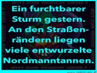 Ein furchtbarer Sturm