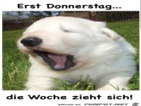 Donnerstag