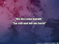 Wo die Liebe hinf�llt
