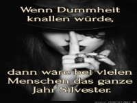 Wenn Dummheit knallen w�rde