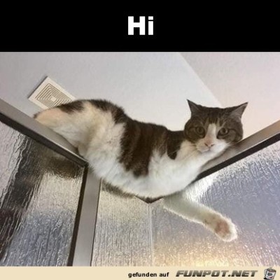 Hi.jpg von Pina