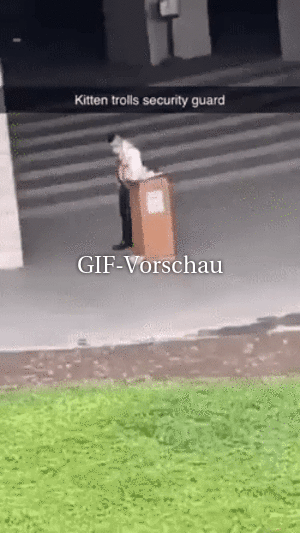Katze veräppelt Security-Mann