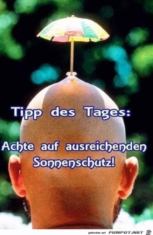 Toller-Tipp.jpg auf www.funpot.net