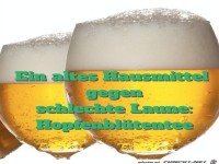Hausmittel