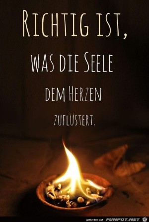 Richtig-ist.jpg auf www.funpot.net