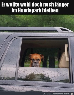 Hund-wollte-lnger-im-Park-bleiben.jpg auf www.funpot.net