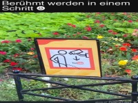Schnell ber�hmt werden