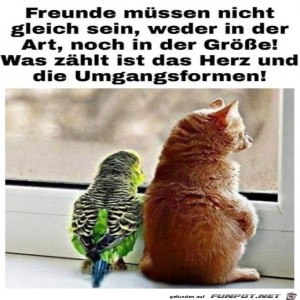 herz-Bild: Freunde müssen nicht gleich sein