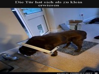 T�r zu klein