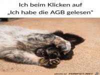 Beim AGB best�tigen