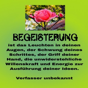 begeisterung-ist-das-leuchten.jpg von Fabioma