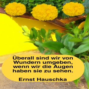 herz-Bild: Gelbe Blumen und ein inspirierendes Zitat