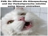 weiter