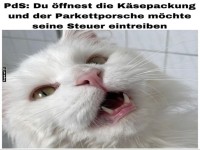 Wenn die Katze Kse will