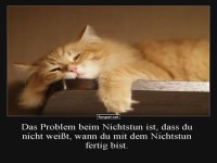 Schlafende Katze in entspannter Pose