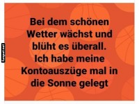 Witz ber Kontoauszge in der Sonne