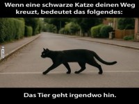 Schwarze Katze kreuzt deinen Weg