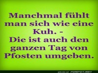 Das Leben aus der Sicht einer Kuh