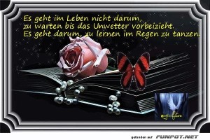 Es-geht-im-Leben-nicht-darum.jpg auf www.funpot.net