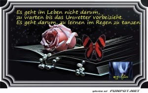 herz-Bild: Es geht im Leben nicht darum