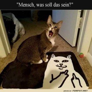 Katzentapete:-Stilvoll-oder-stilblos?.jpg von Benno-2011