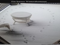 Zirkus im Schnee - die Balkonshow!