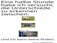 Keine Unterschiede feststellbar