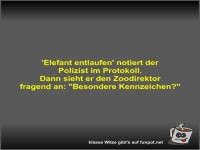 'Elefant entlaufen' notiert der Polizist im Protokoll