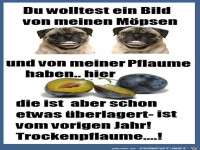 Du willst meine Moepse und Pflaume sehen