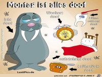 Montag ist alles doof
