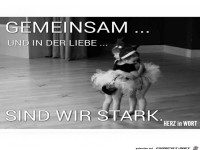 9 stark
