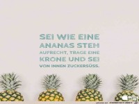 sei-wie-eine-ananas-s