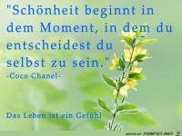 schoenheit beginnt